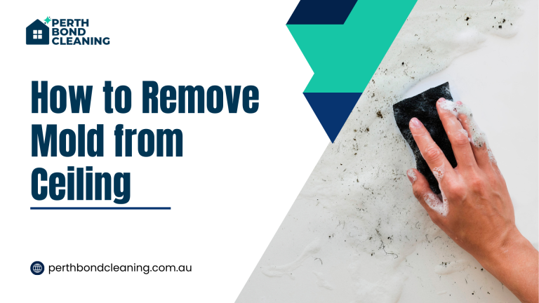 How to Remove Mold from Ceiling: A Complete Guide for Homeowners